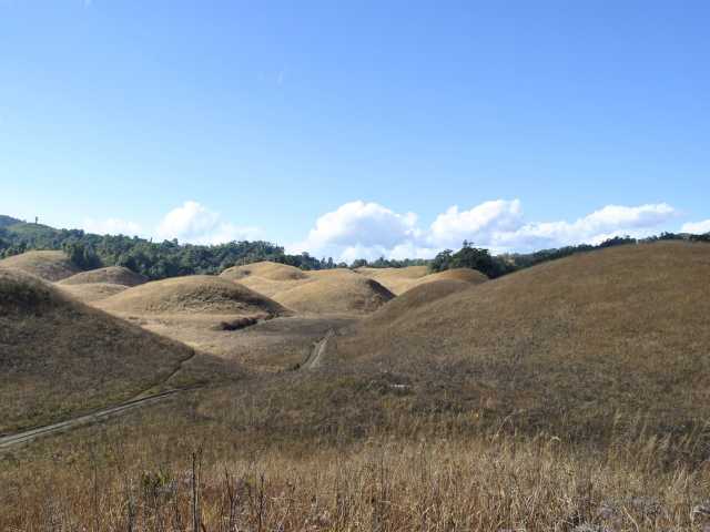 Buning (N-piulong) meadow