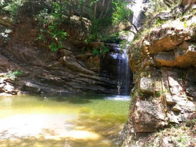 Swimming in Water Stream