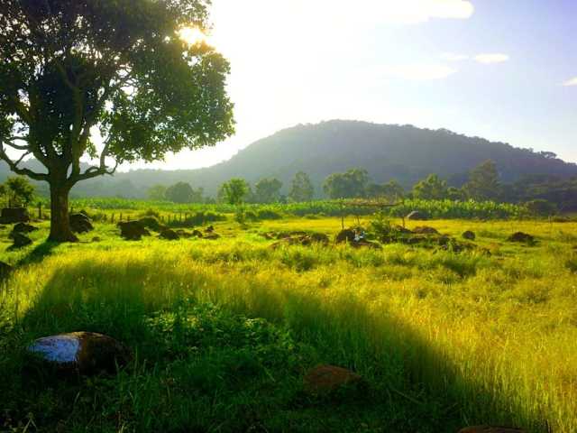 Swamimalai Hills at travel d'globe