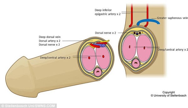 Flremqxprhdc8alfuaoq