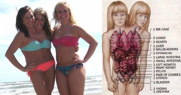 Vqfatloz77txztjdposh