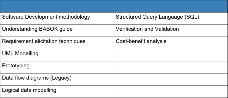 Business Analyst Skills