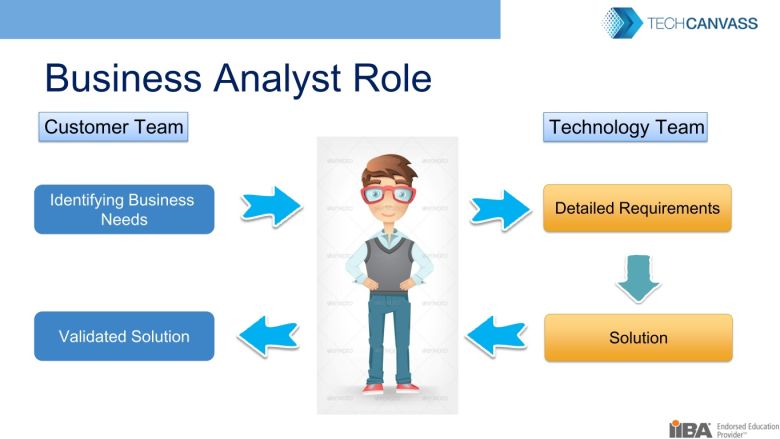 Business Analyst Role