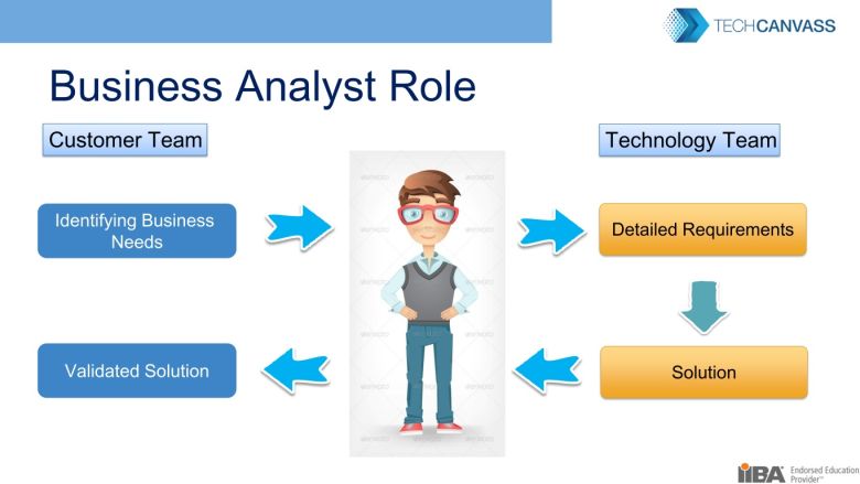 What Are The Roles And Responsibilities Of Business Analyst Techcanvass