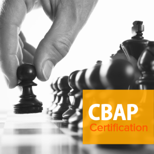 CBAP Certification Training
