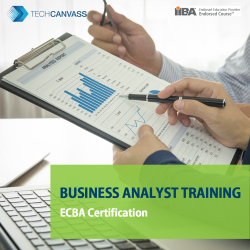 Business Analyst Course with ECBA Certification