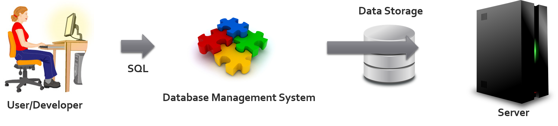 SQL and Database