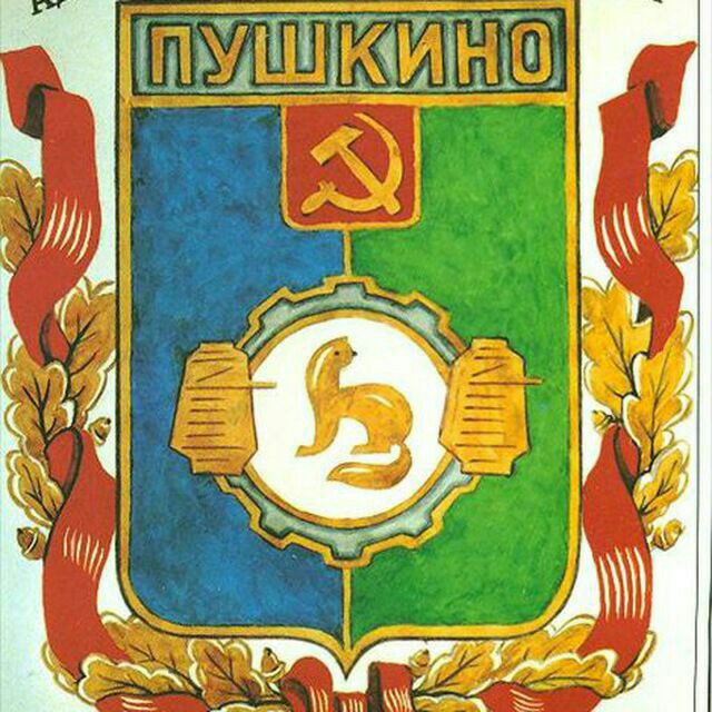 Телеграм чат «Пушкино»