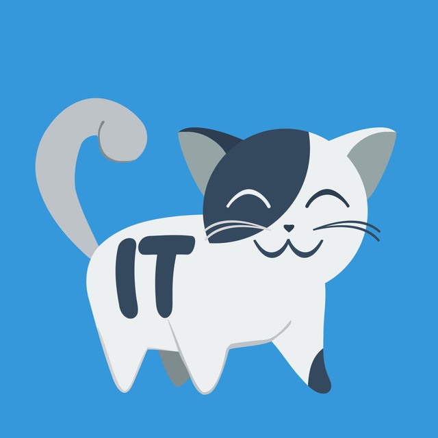 Телеграм чат «IT-Koт Encrypted»