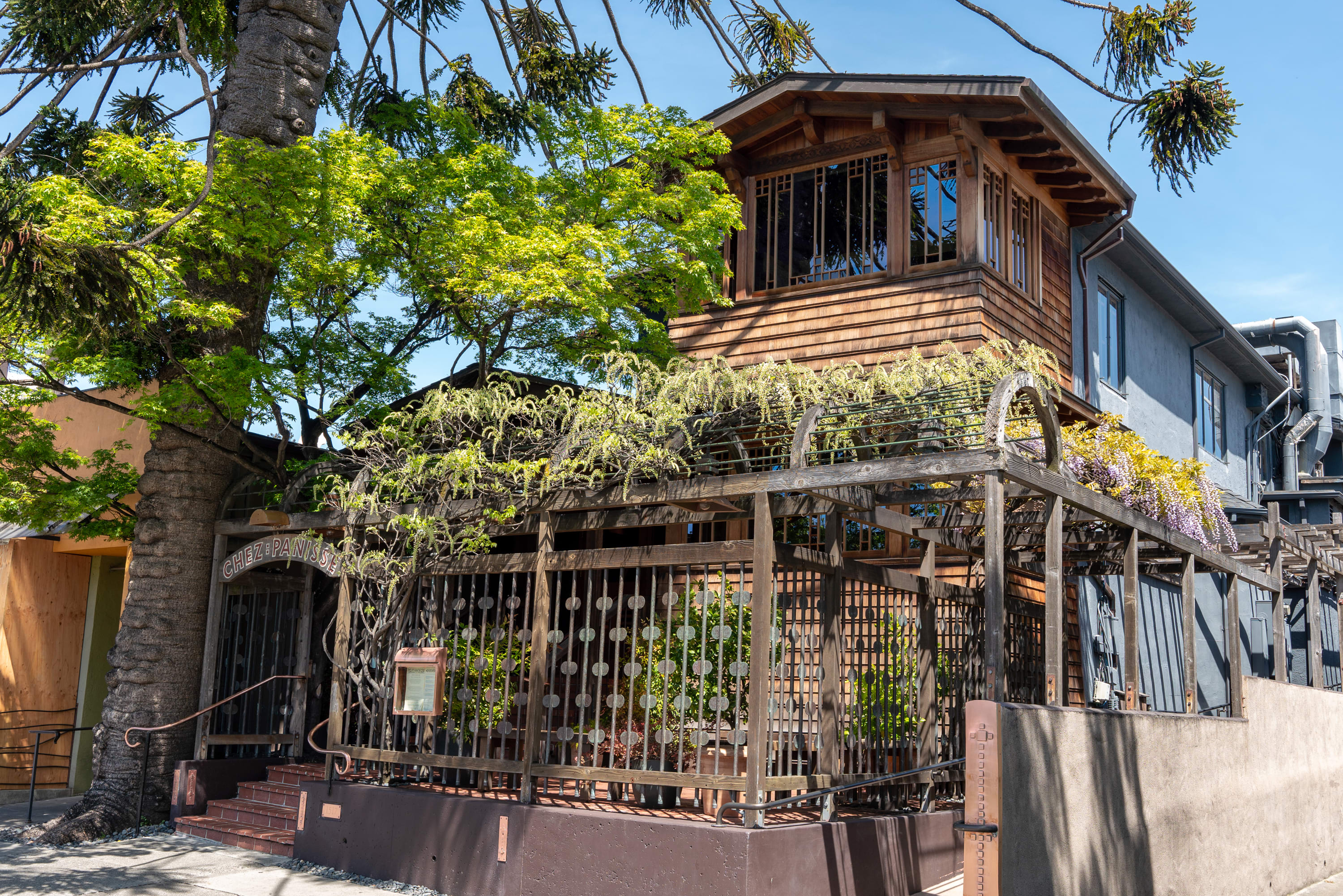 Chez Panisse by Carly Hackbarth