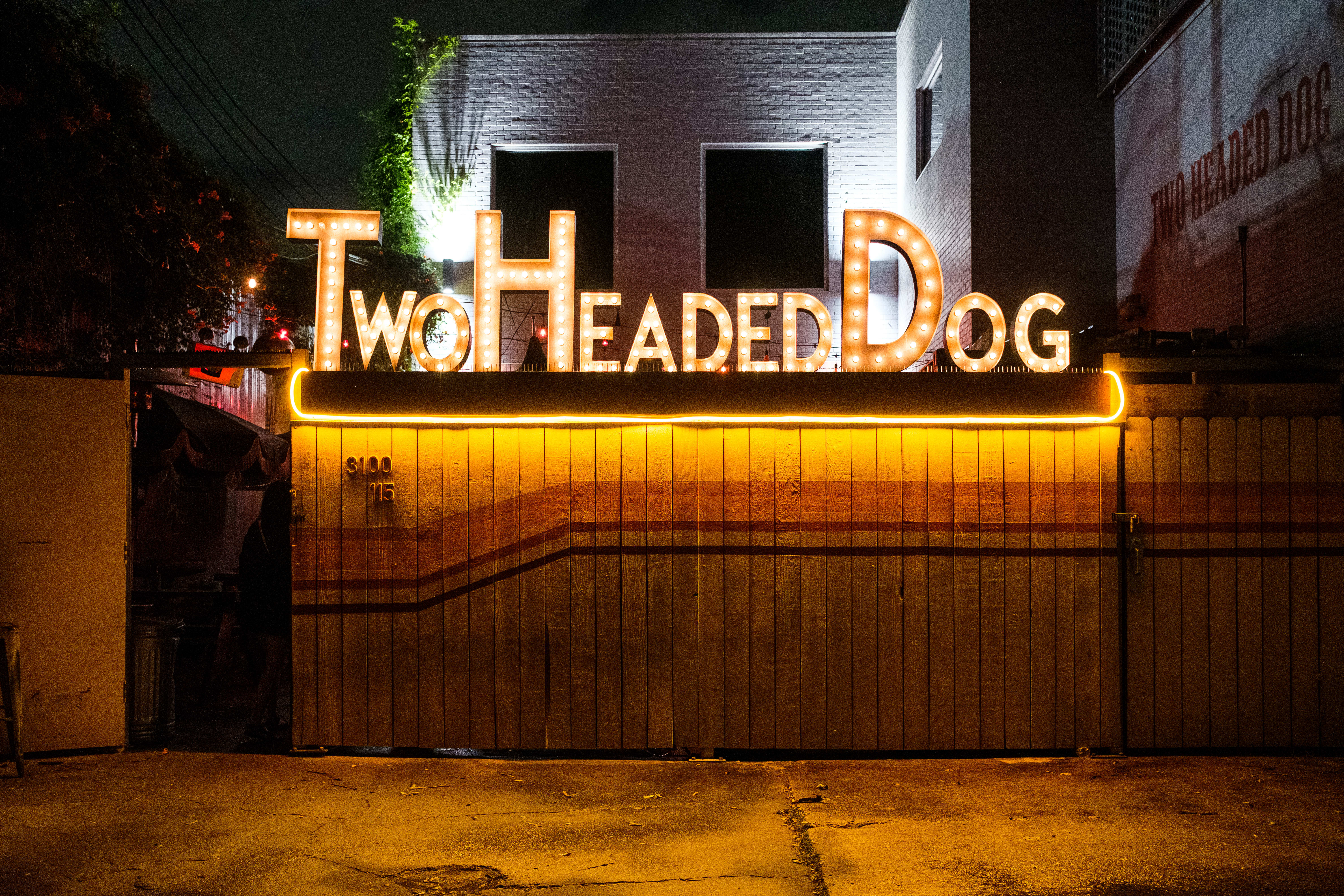 Two Headed Dog by Quit Nguyen
