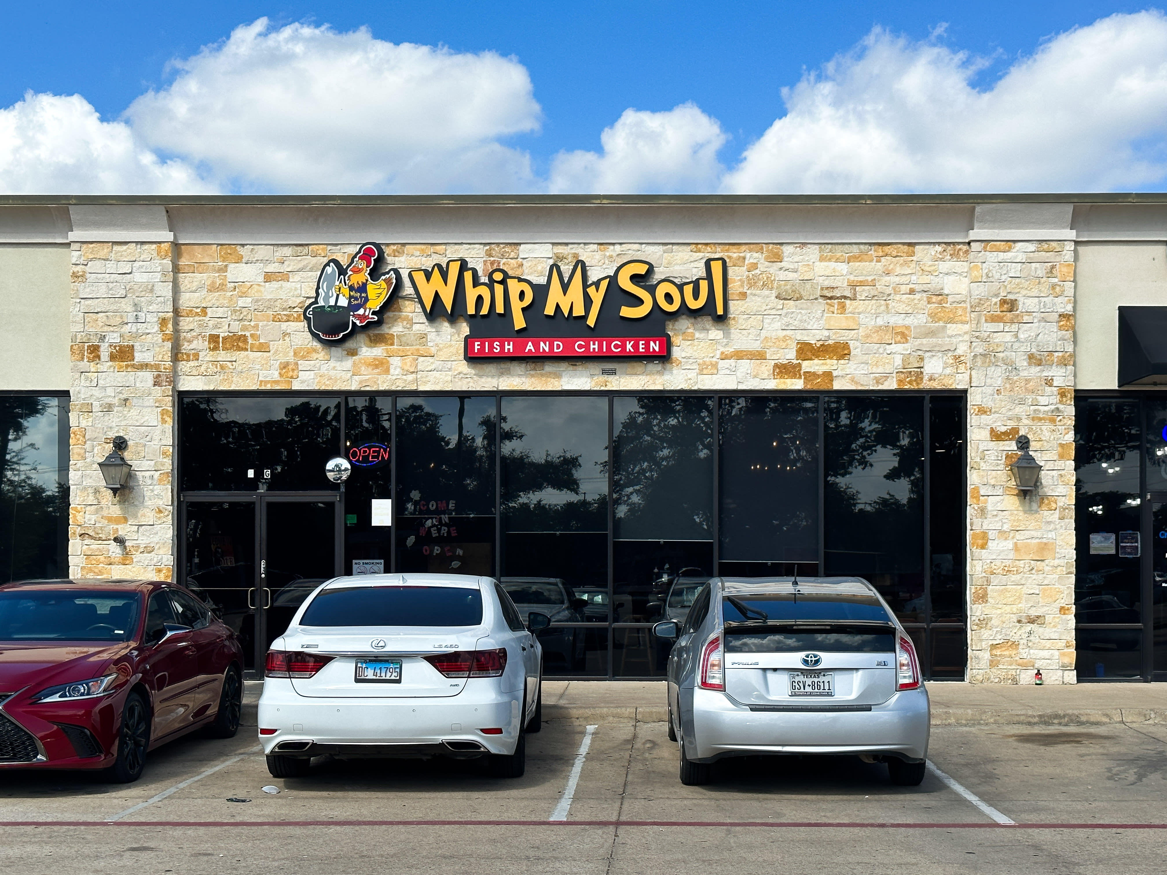 Whip My Soul by Nicolai McCrary