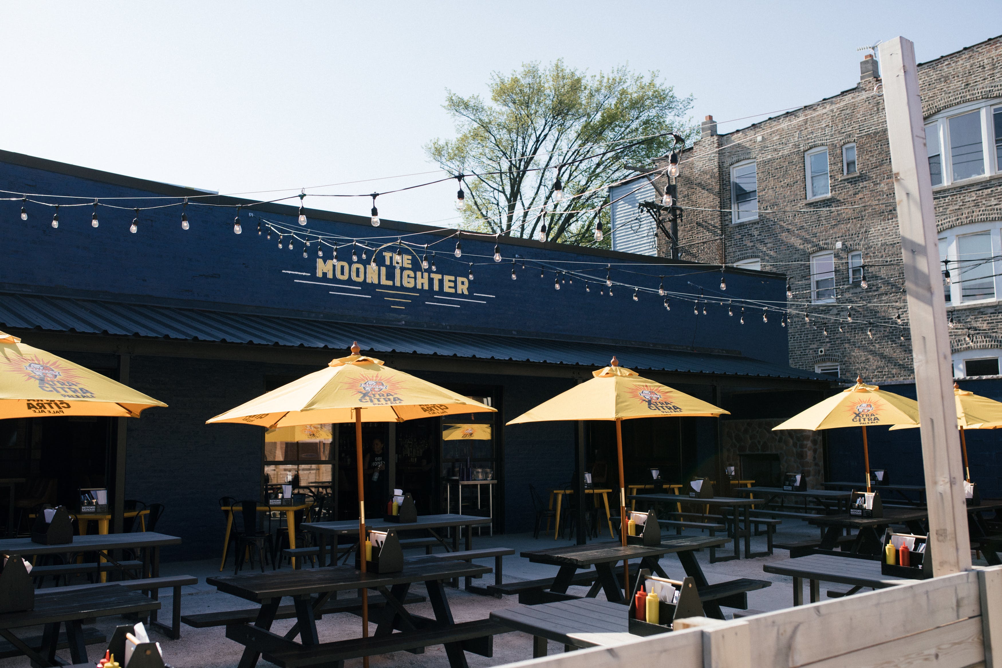 46 Best Dog-Friendly Restaurants, Patios & Bars in Chicago