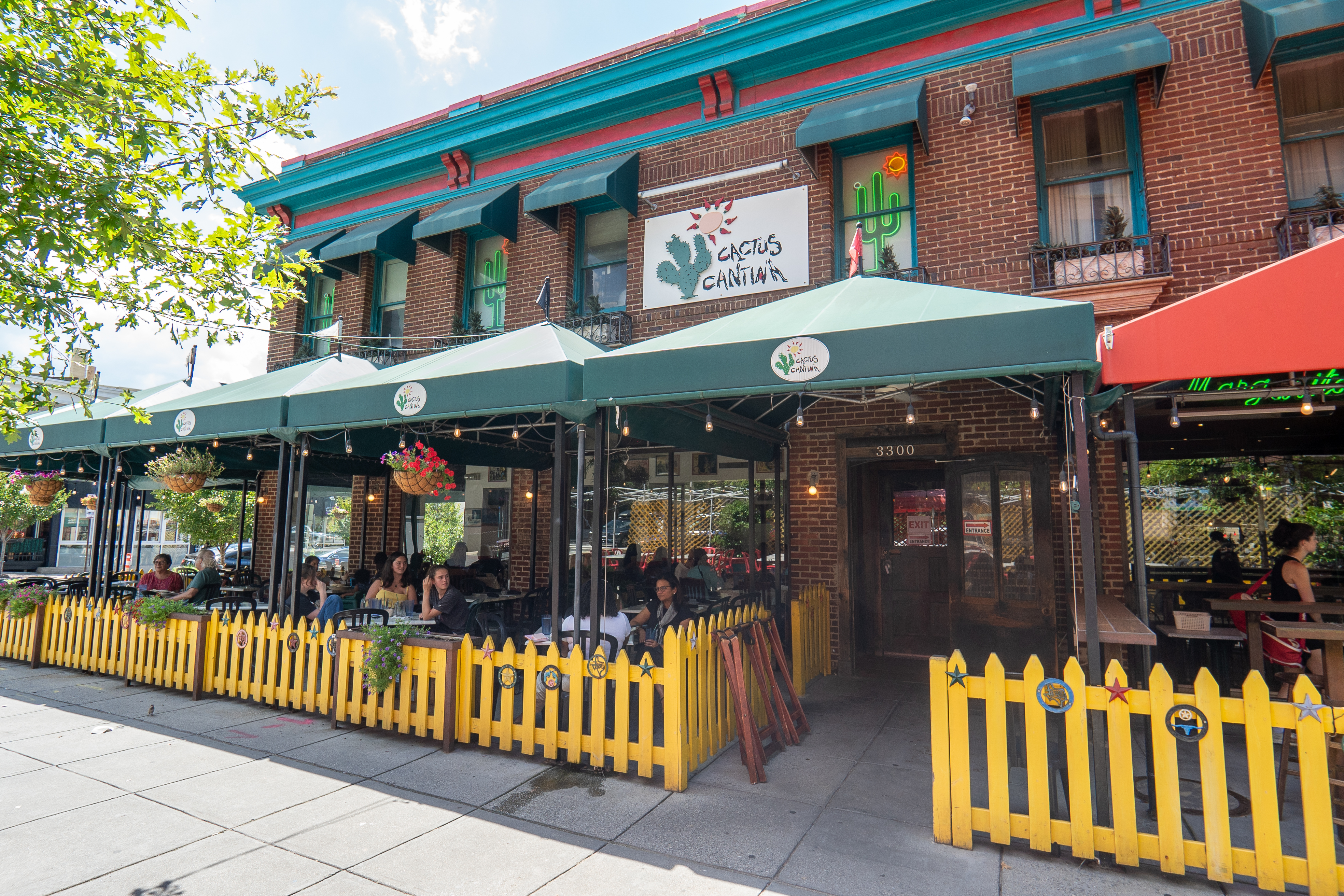Cactus Cantina - Review - Cathedral Heights - Washington DC - The  Infatuation