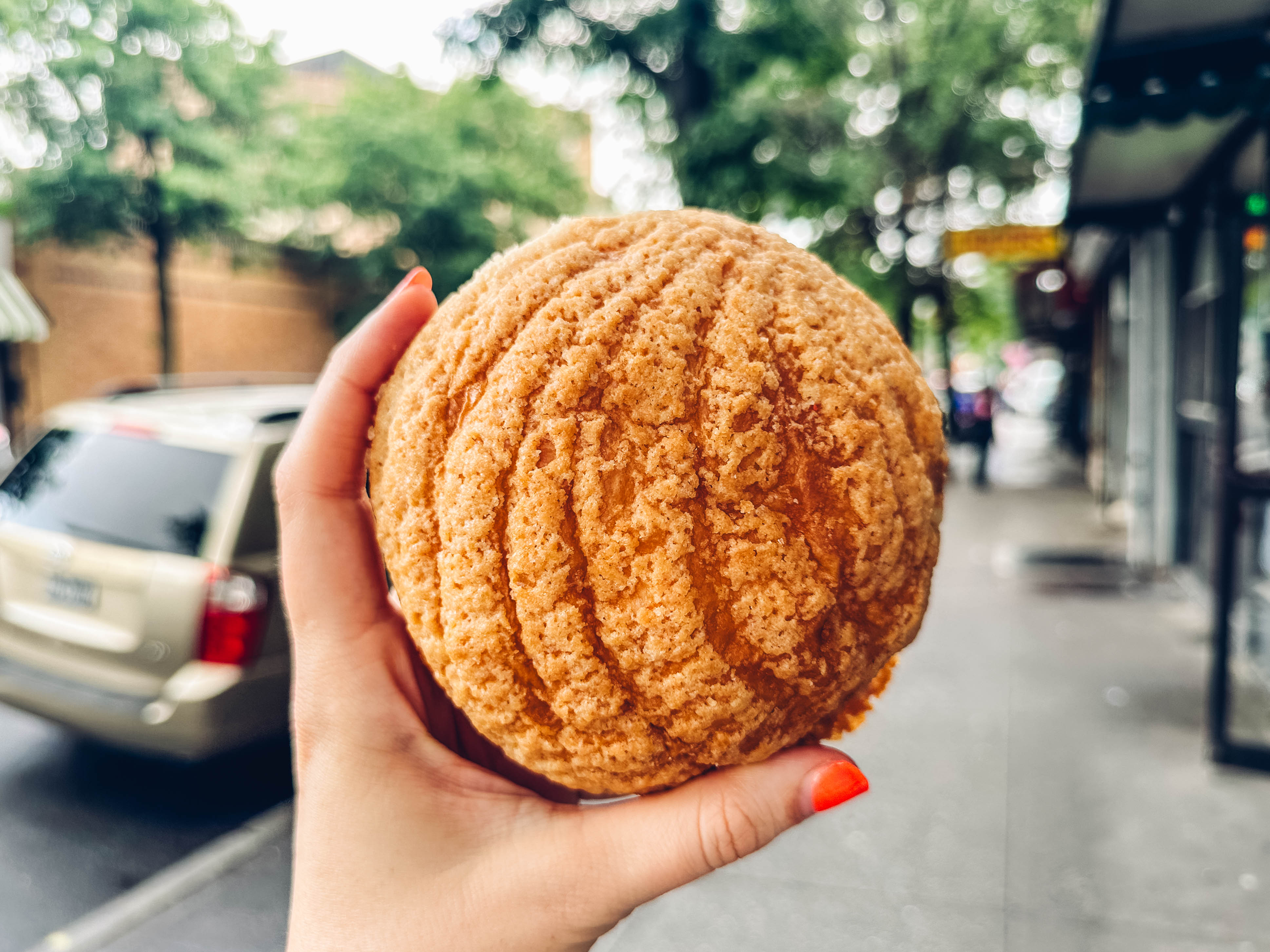 Masa Madre - Review - Sunnyside - New York - The Infatuation