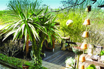 Celebrate Summer and join The Sussex Beacon