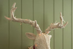 Latest interiors: deck the halls