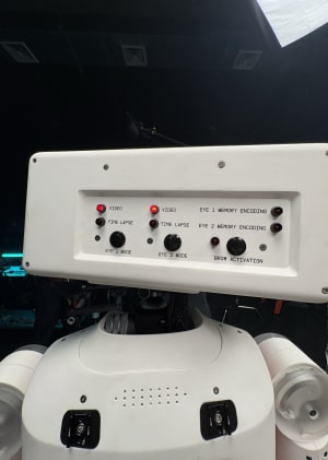 Ewwc5ntbfdkogd4fvtbp