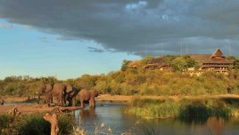 The Romantic Tourist - Zimbabwe