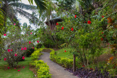 Garden view at Bom Bom Príncipe