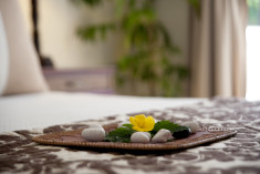 Superior at Cofresi Palm Beach & Spa Resort    