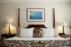 Superior at Cofresi Palm Beach & Spa Resort    