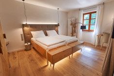 Double room at Hotel Plesnik 