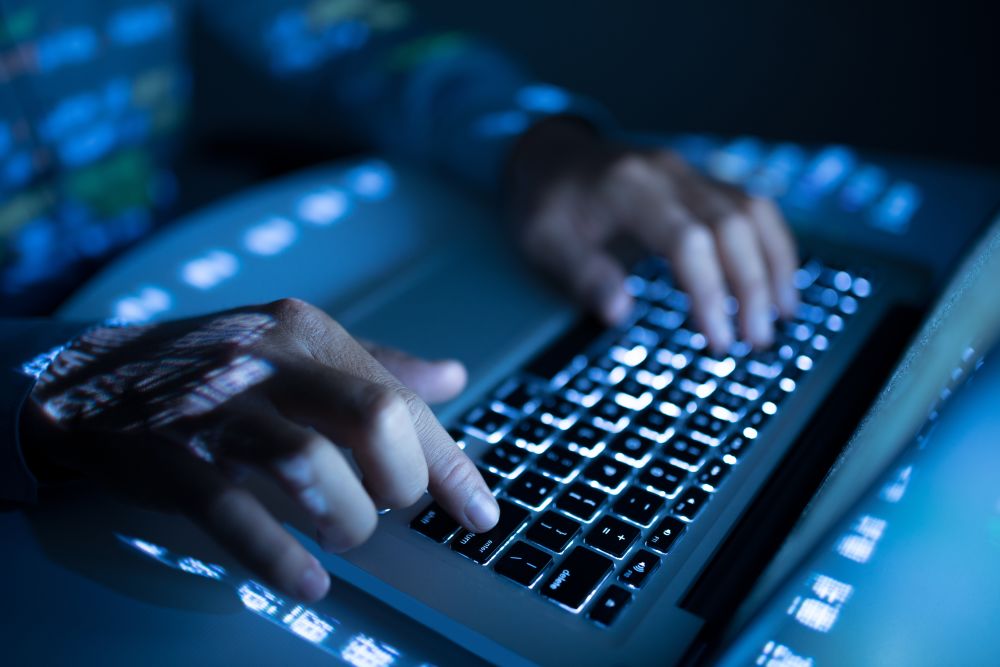 Professional WordPress Development