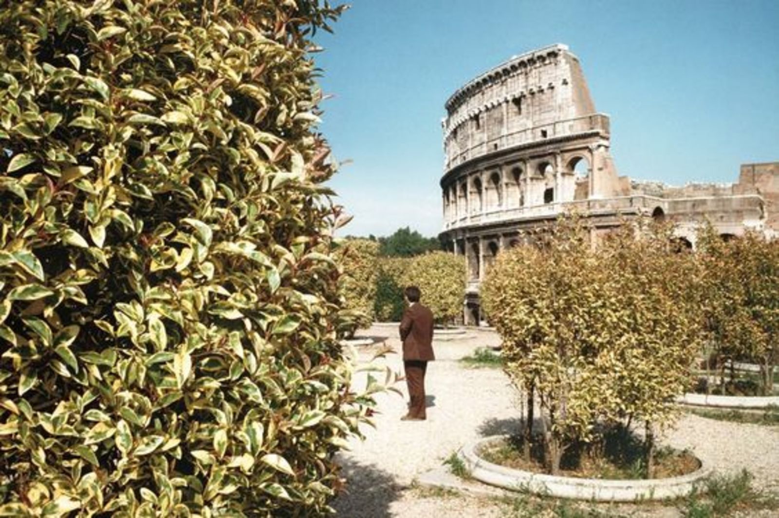 P Johnson's Guide to Roma, Italia P Johnson's Guide to Roma, Italia