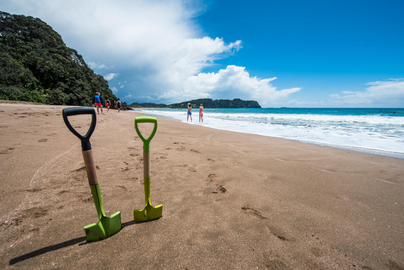 Beach Digging