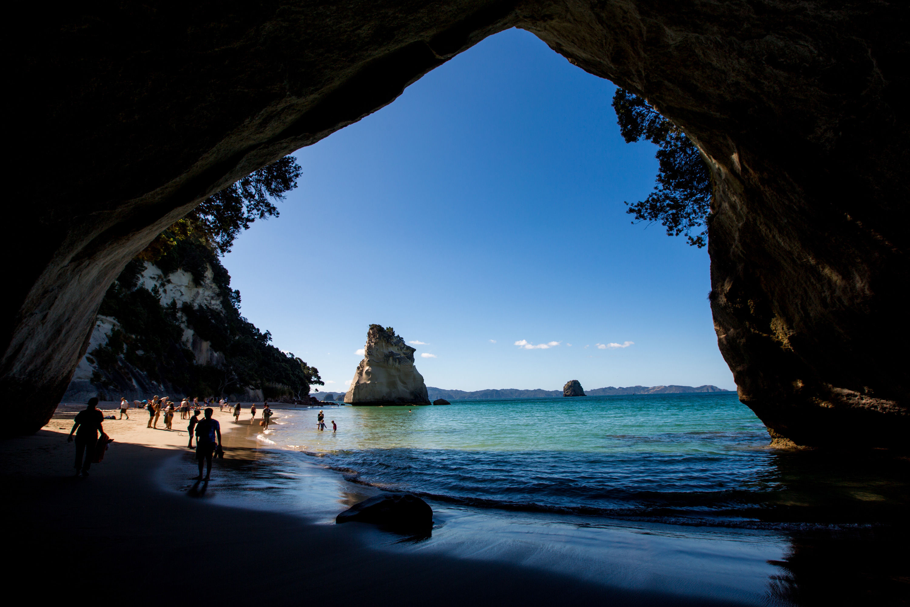 rugby-fans-new-zealand-tour