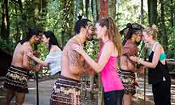 Tamaki Maori Village