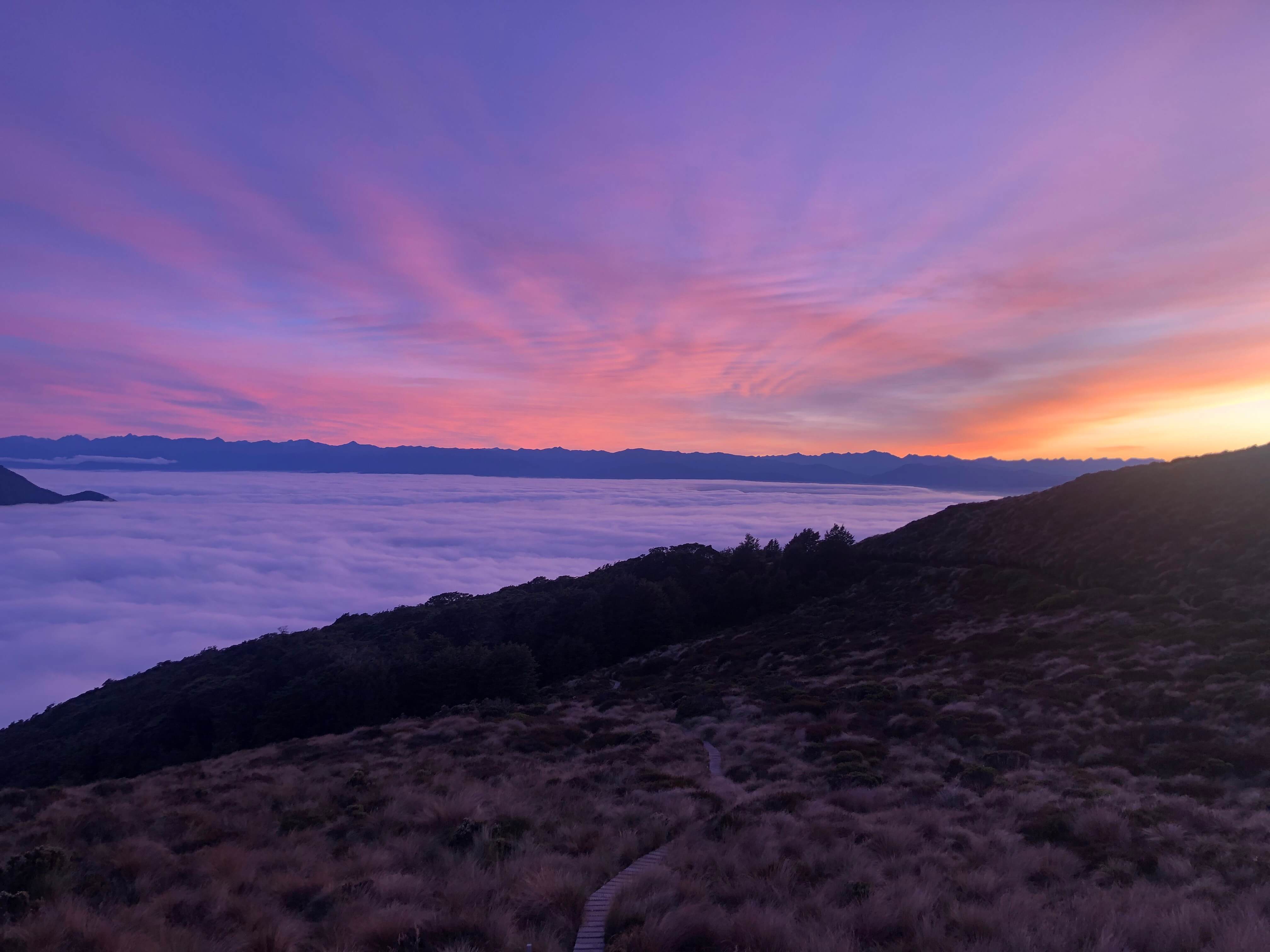 Kepler Track