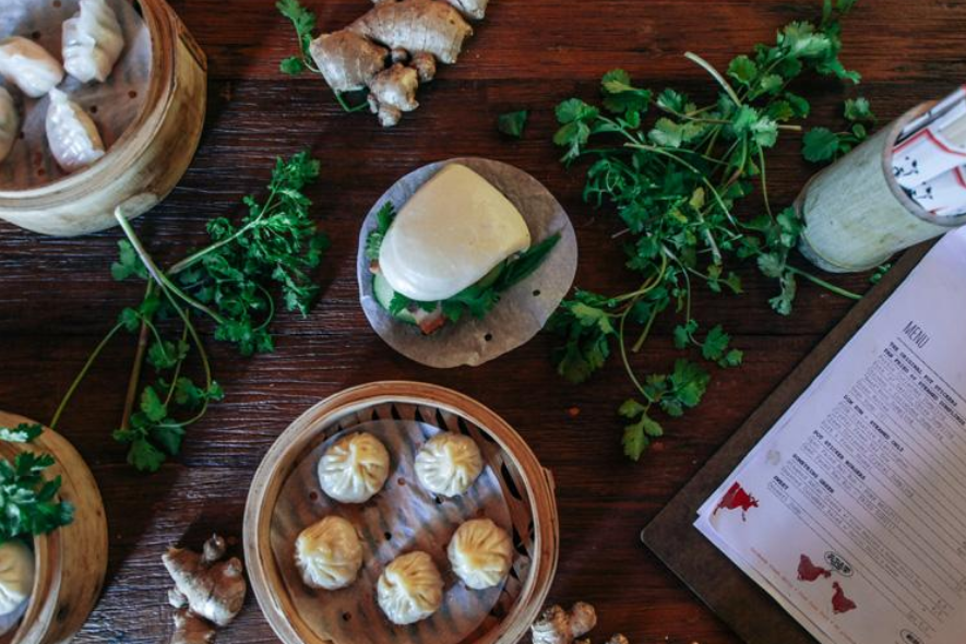 Pot Sticker Dumplings