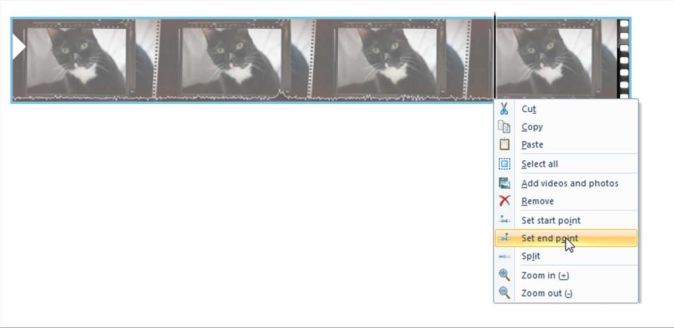 How to Create Your Pet Memorial Video Album