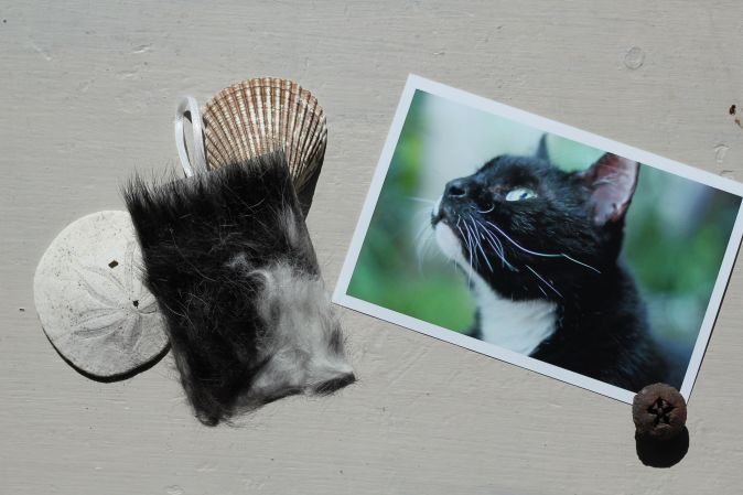 Pet fur memorial outlet