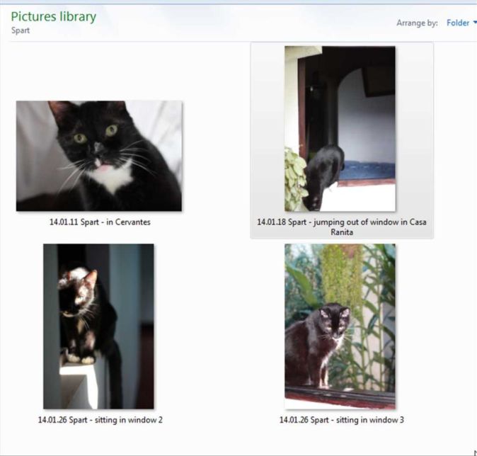 How to Create Your Pet Memorial Slideshow