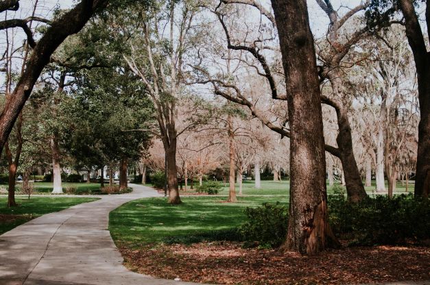 Mississippi pet crematoriums and cemeteries