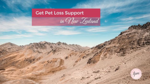 New Zealand pet loss therapists, support groups, and grief hotlines