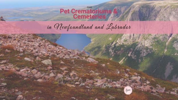 Newfoundland and Labrador pet crematoriums and cemeteries