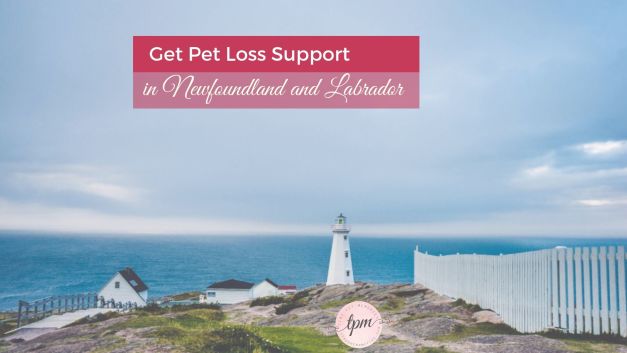 Newfoundland and Labrador pet loss therapists, support groups, and grief hotlines