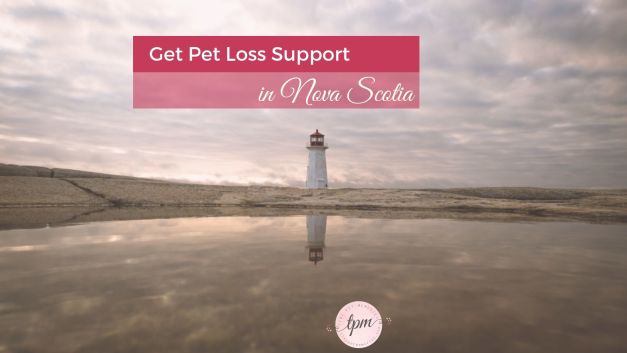 Nova Scotia pet loss therapists, support groups, and grief hotlines