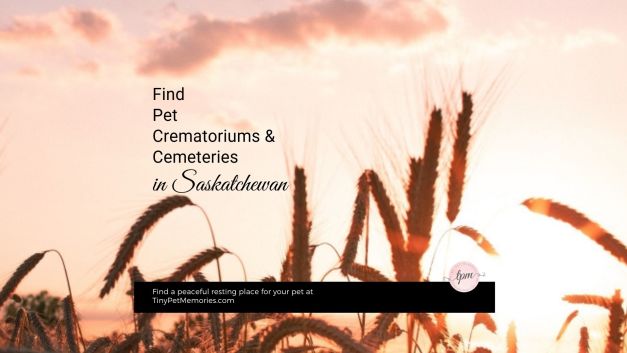 Saskatchewan pet crematoriums and cemeteries