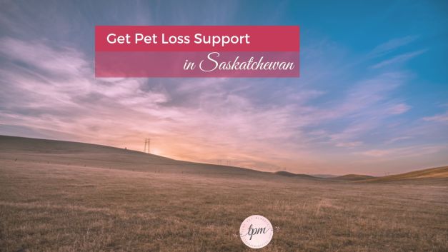 Saskatchewan pet loss therapists, support groups, and grief hotlines