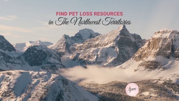 The Northwest Territories pet loss therapists, support groups, and grief hotlines