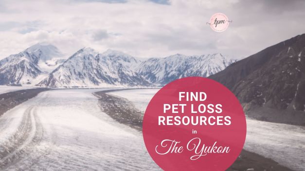 The Yukon pet loss therapists, support groups, and grief hotlines