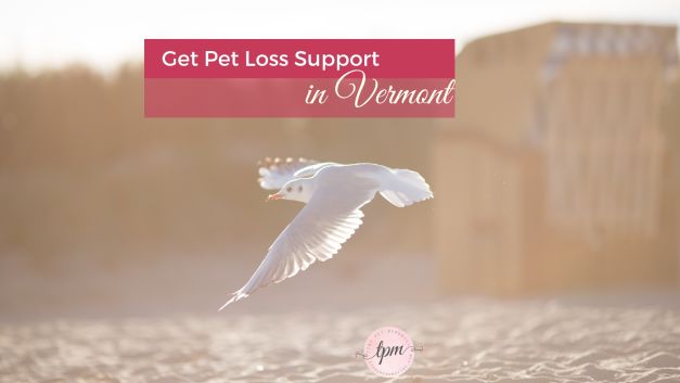 Vermont pet loss therapists, support groups, and grief hotlines