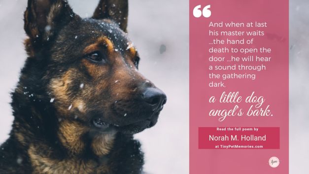 A Little Dog Angel – Norah M. Holland