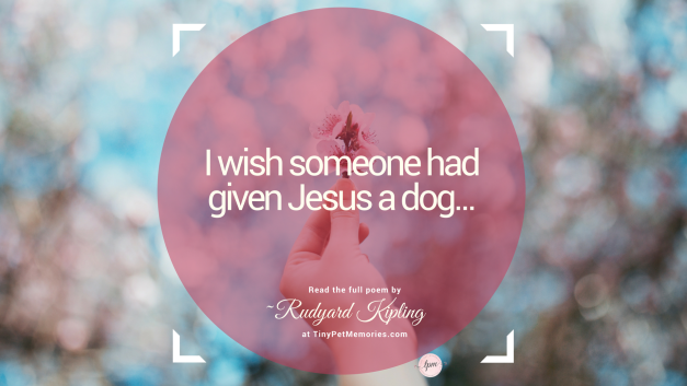 A Dog for Jesus – Rudyard Kipling