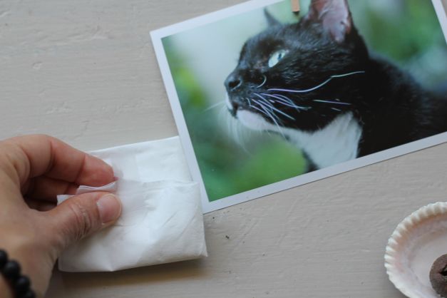 Cat fur memorial outlet
